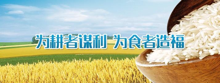 宣傳圖片